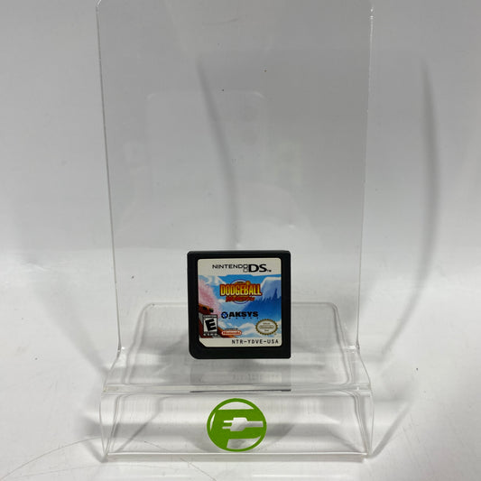 Super Dodgeball Brawlers (Nintendo DS, 2008)